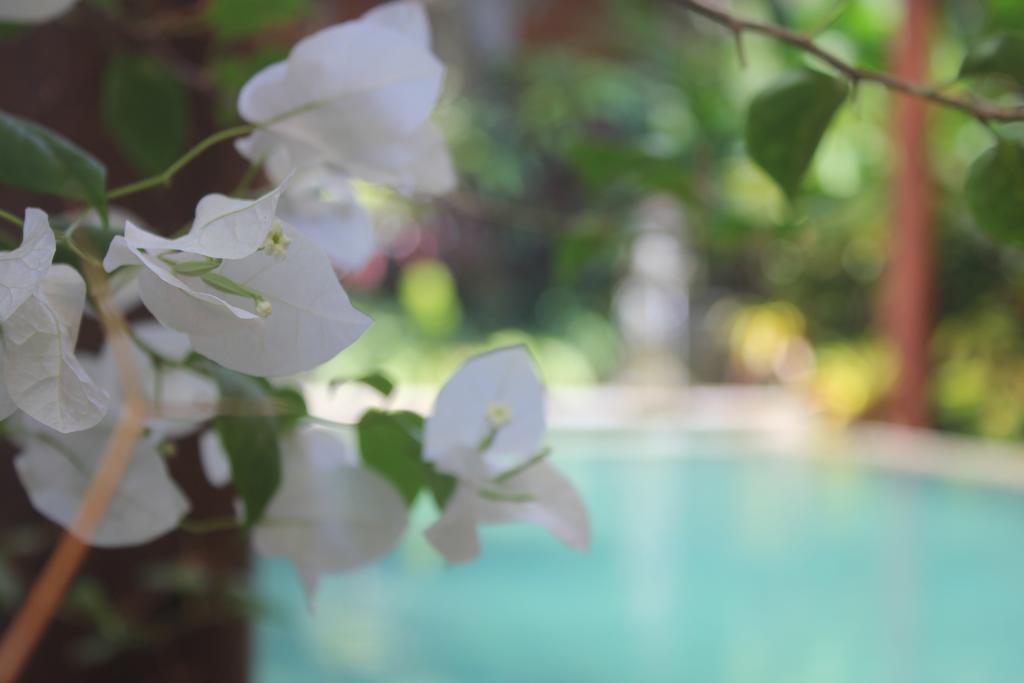 מאלאנג Ubud Hotel And Villas מראה חיצוני תמונה